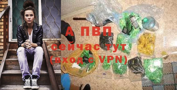 стафф Пересвет