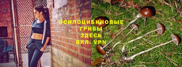 спиды Алзамай